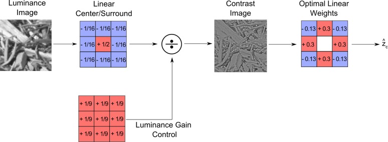 Figure 9