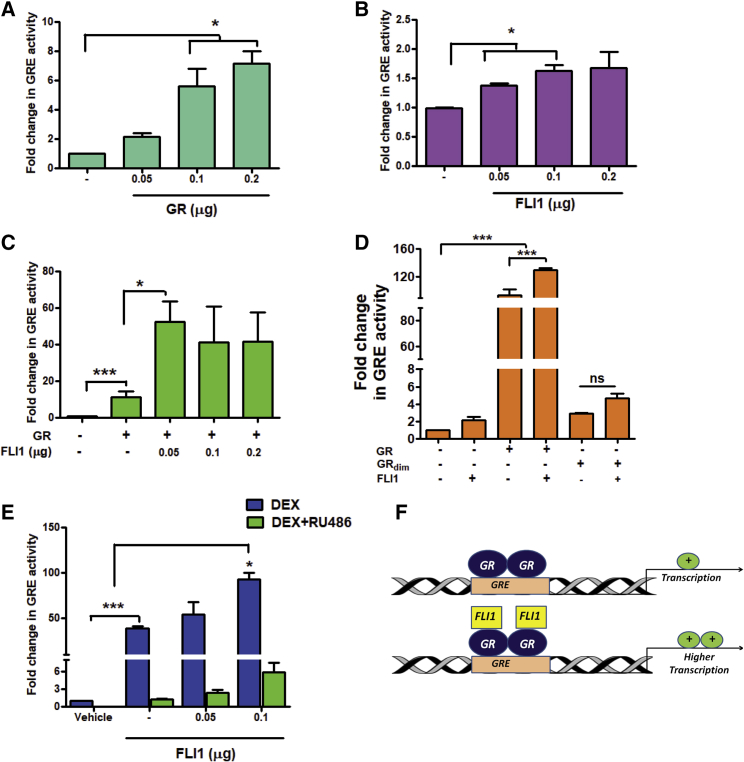 Figure 2