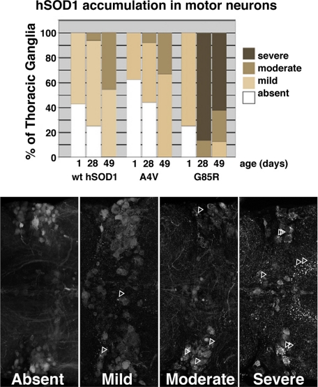 FIGURE 7.