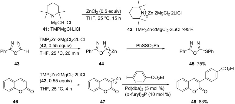 Scheme 8