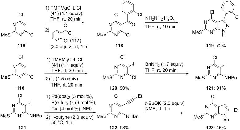 Scheme 19