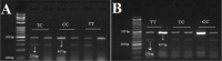 Fig. 1: