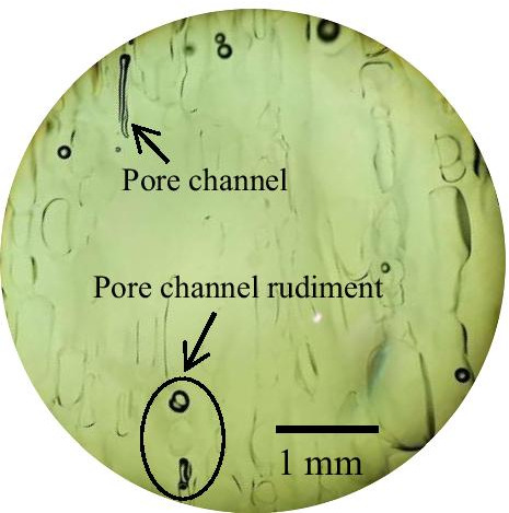 Fig. 10