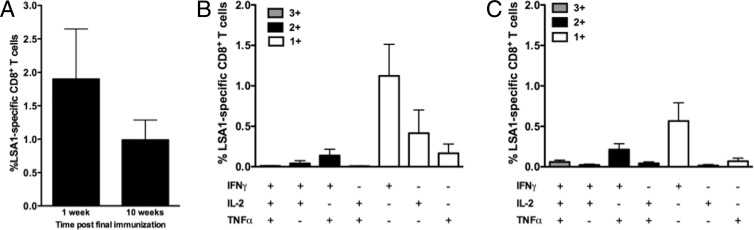 Fig 5