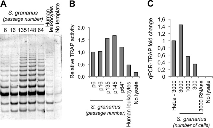 FIG 3