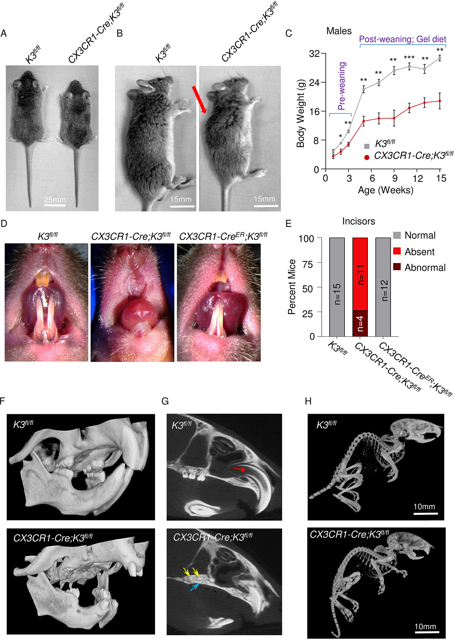 Figure 1: