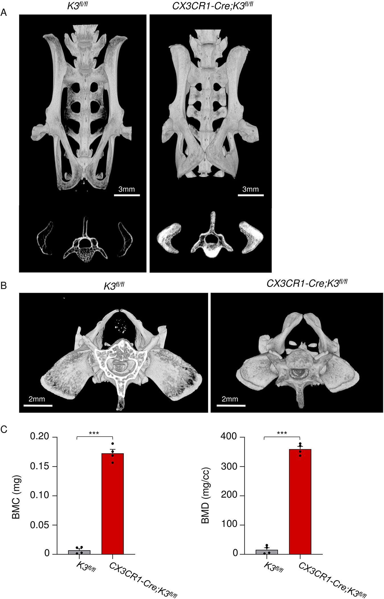 Figure 6: