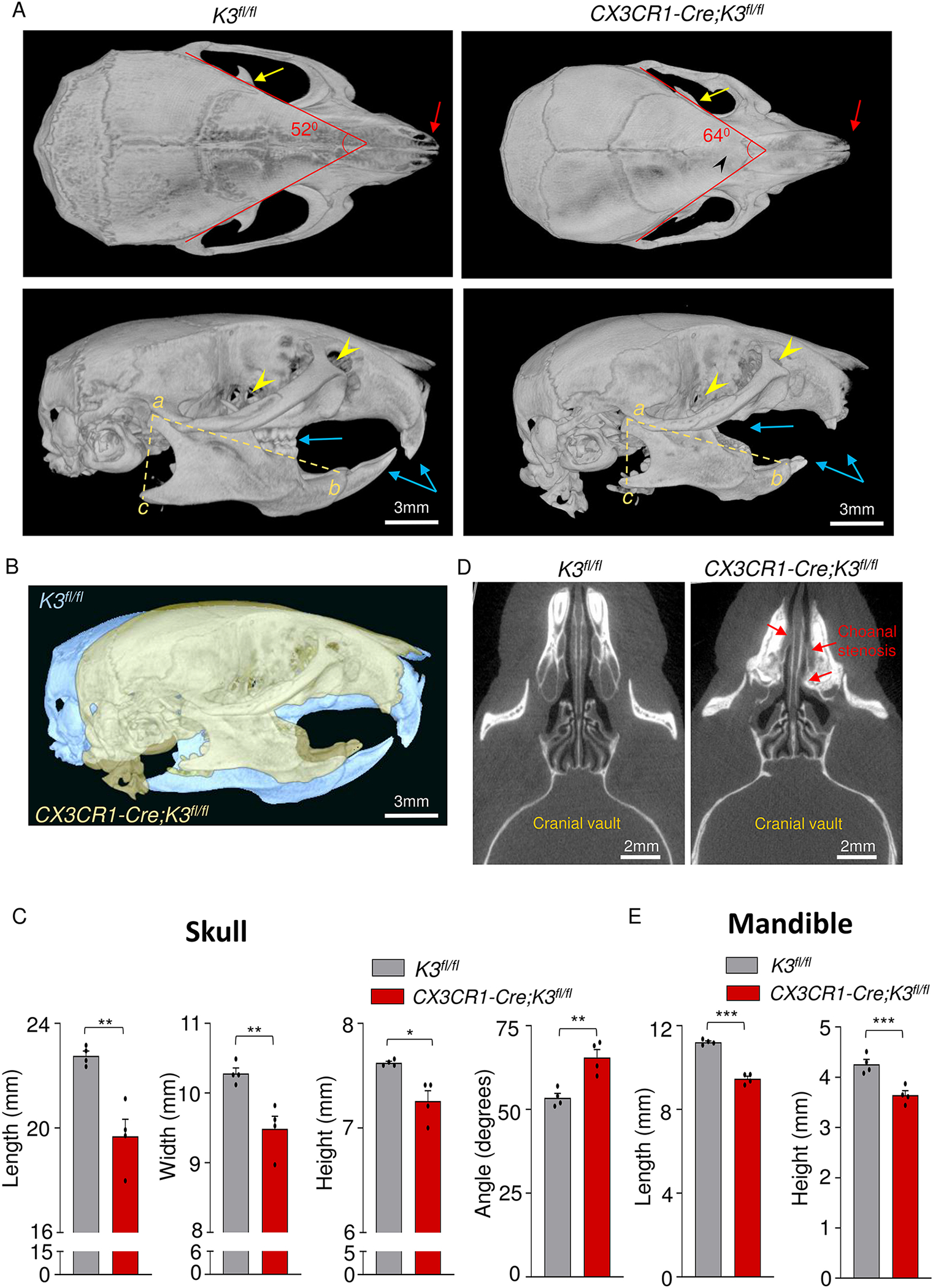 Figure 2: