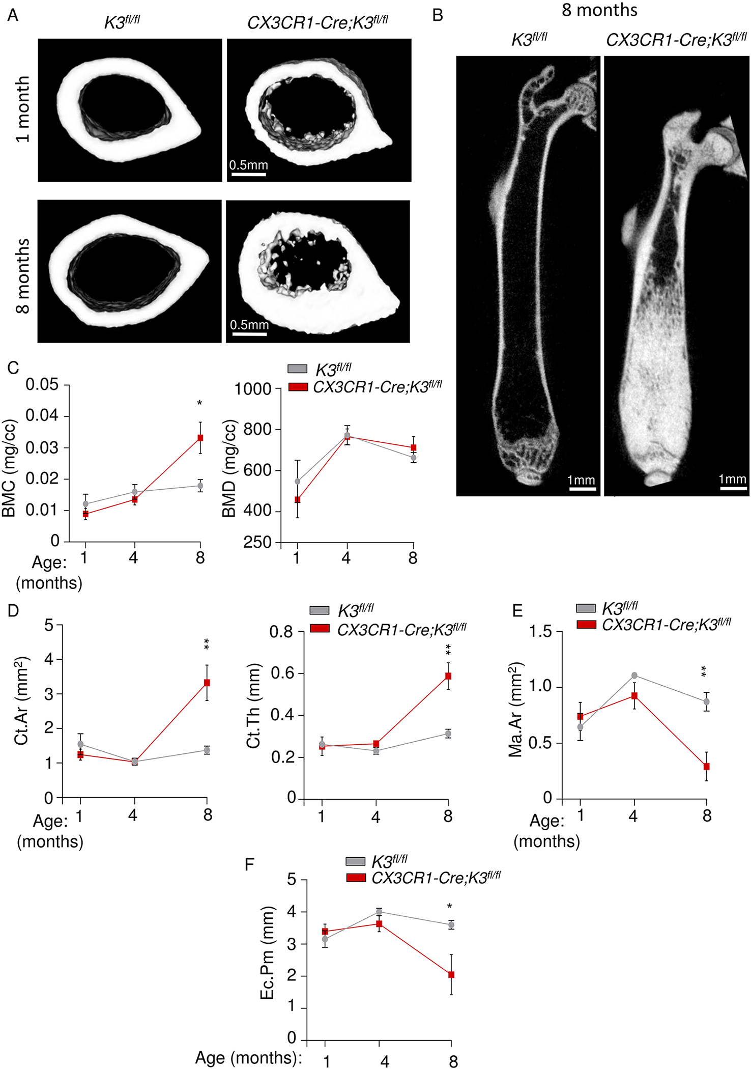 Figure 4: