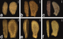 Figure 14.