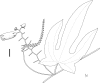 Figure 32.