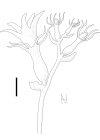 Figure 28.