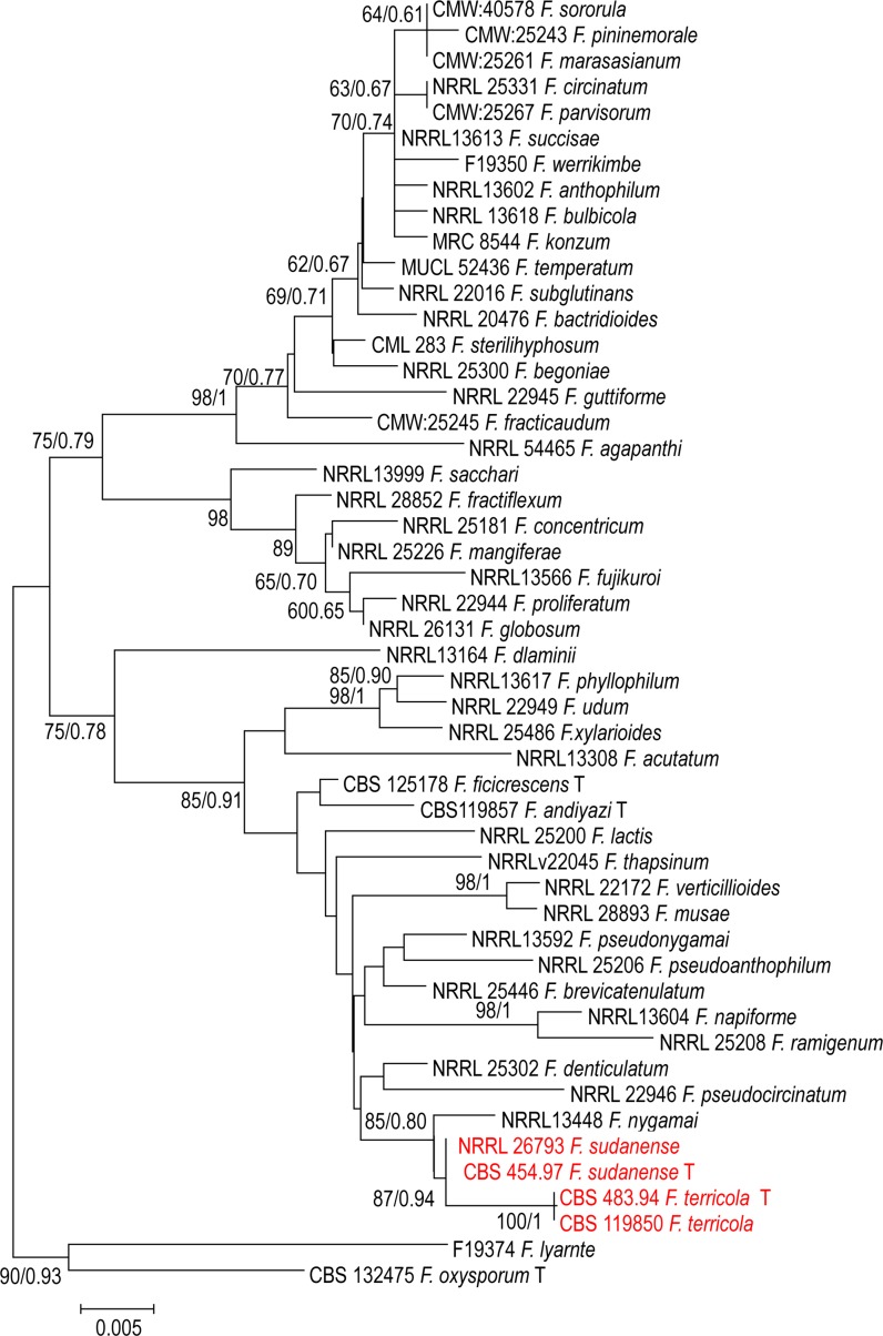 Fig. 2