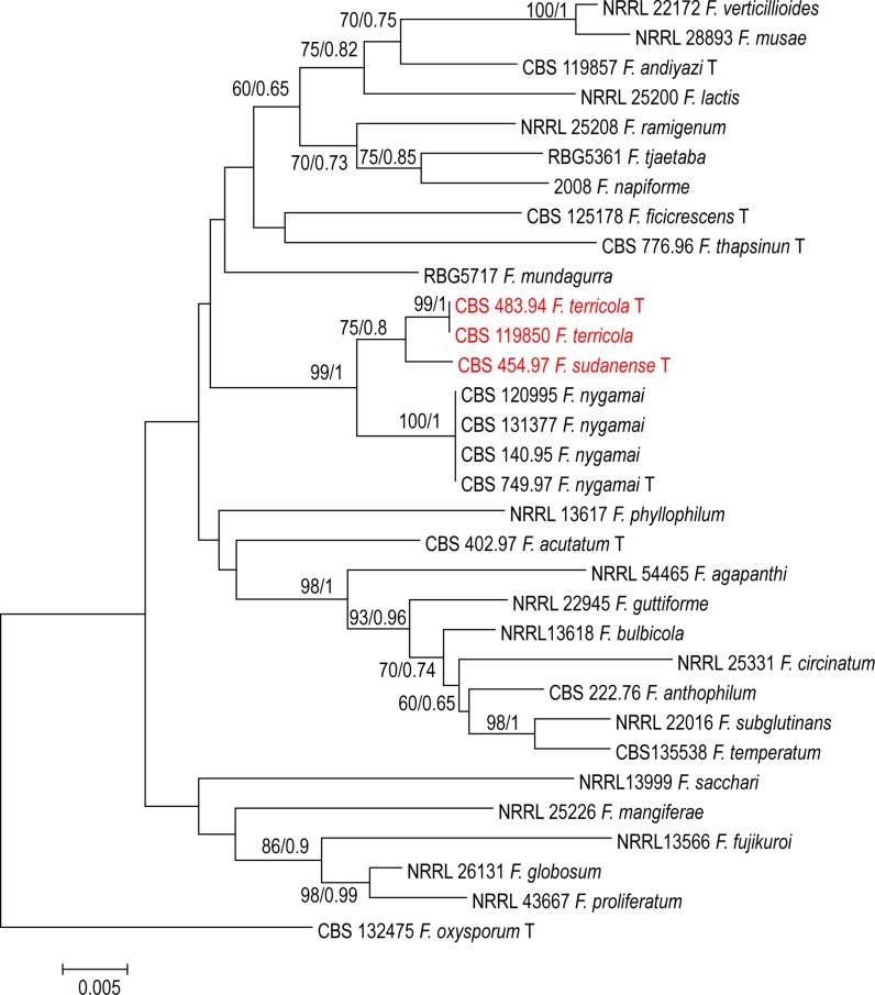 Fig. 4