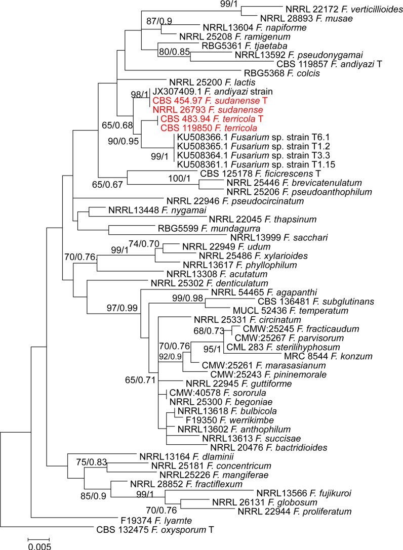 Fig. 1