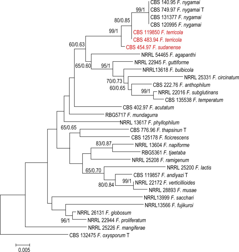 Fig. 3