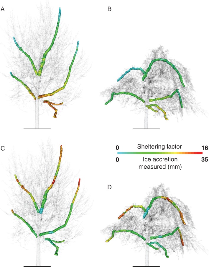 Fig. 4.