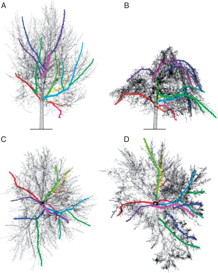 Fig. 3.