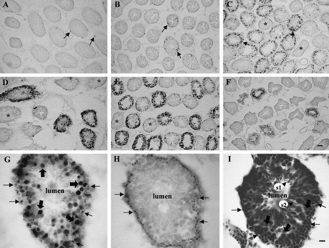 Fig 3.