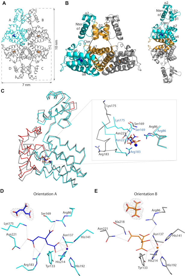 Figure 3.