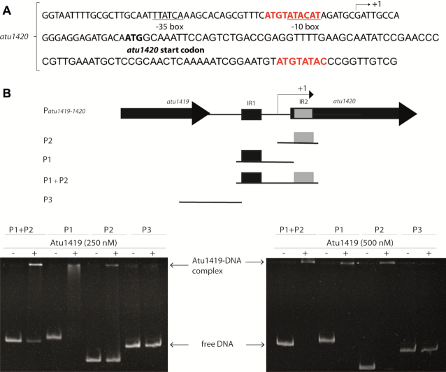 Figure 7.