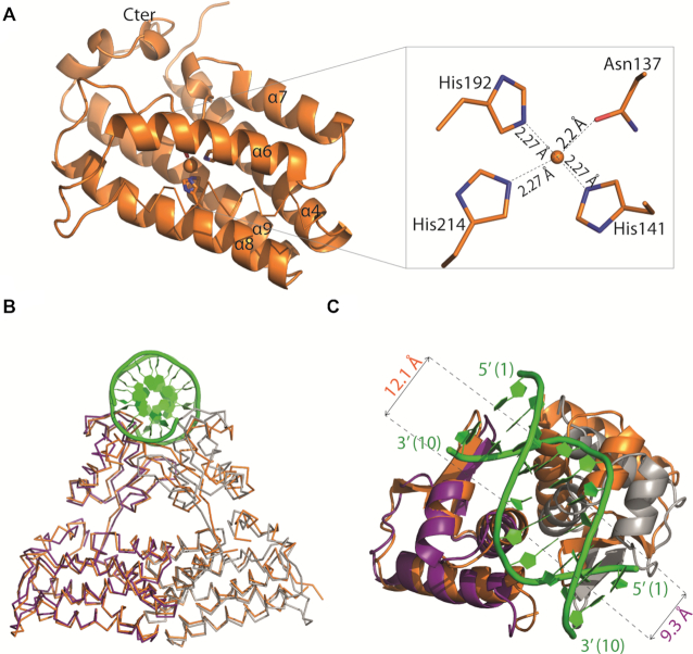 Figure 5.
