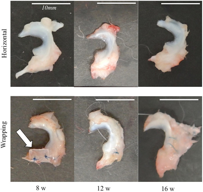 Figure 3.