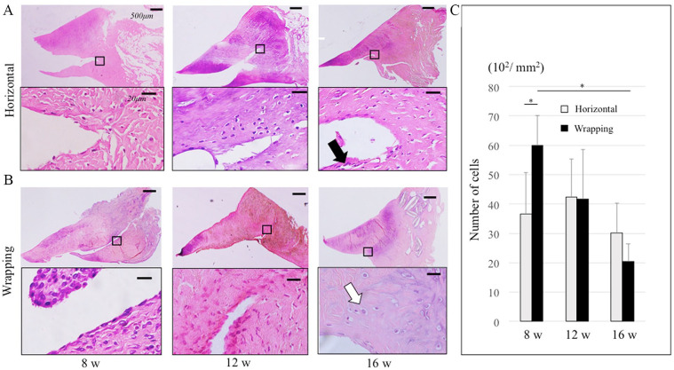 Figure 5.