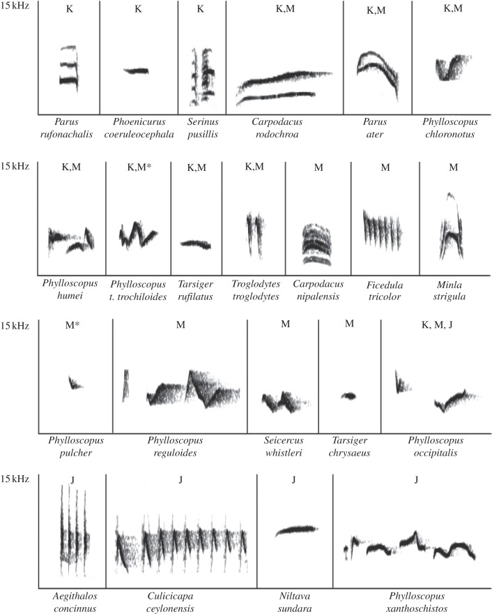 Figure 1.