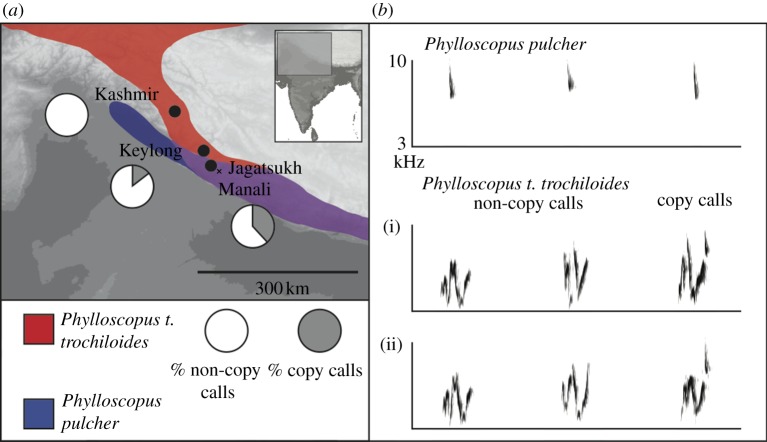 Figure 2.