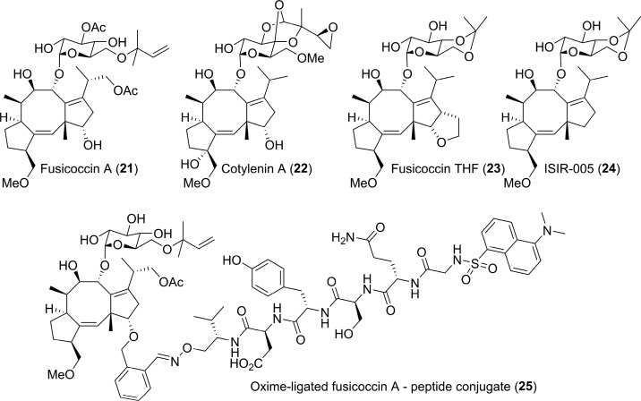 Figure 14