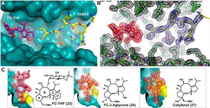 Figure 15