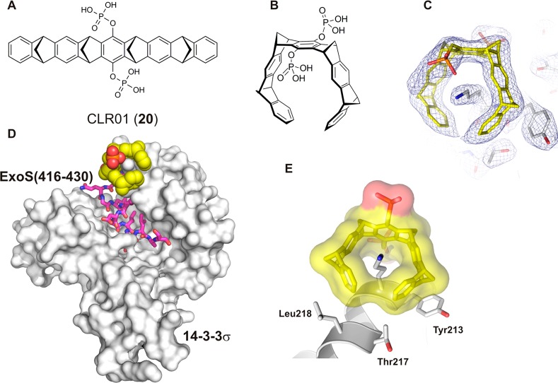 Figure 13