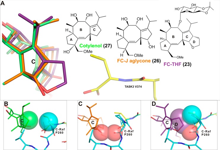 Figure 16