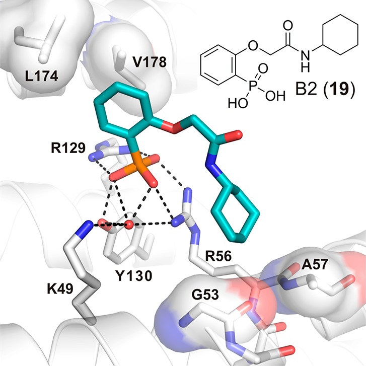 Figure 12