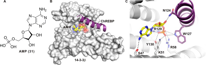 Figure 18