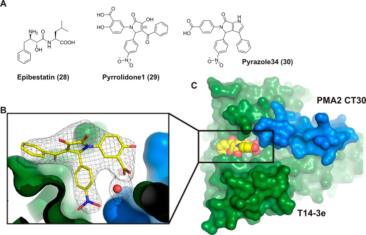 Figure 17