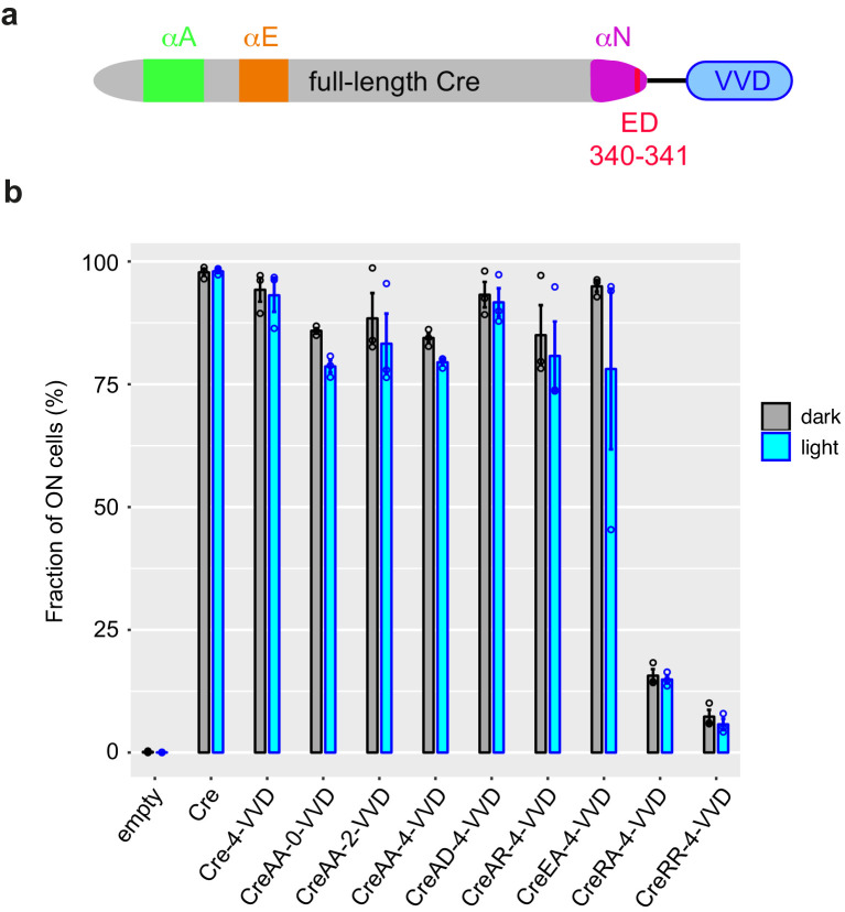 Figure 2—figure supplement 1.