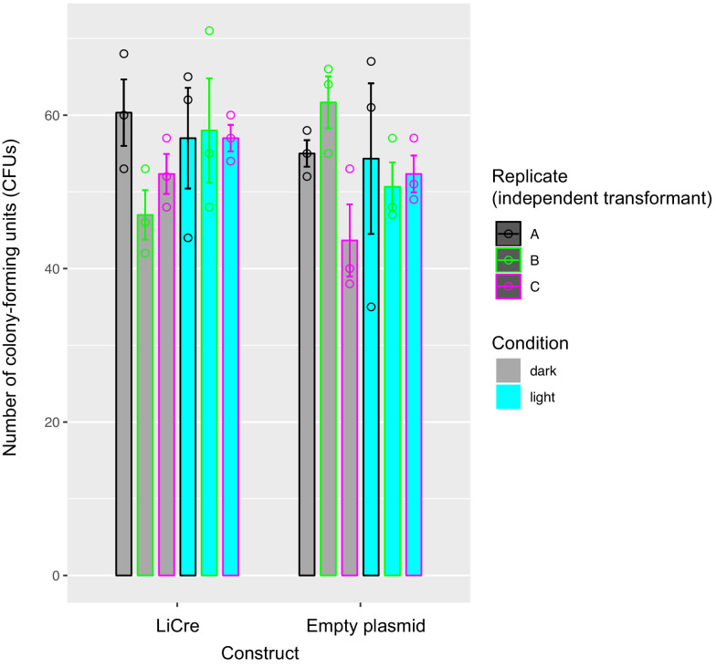 Figure 3—figure supplement 1.