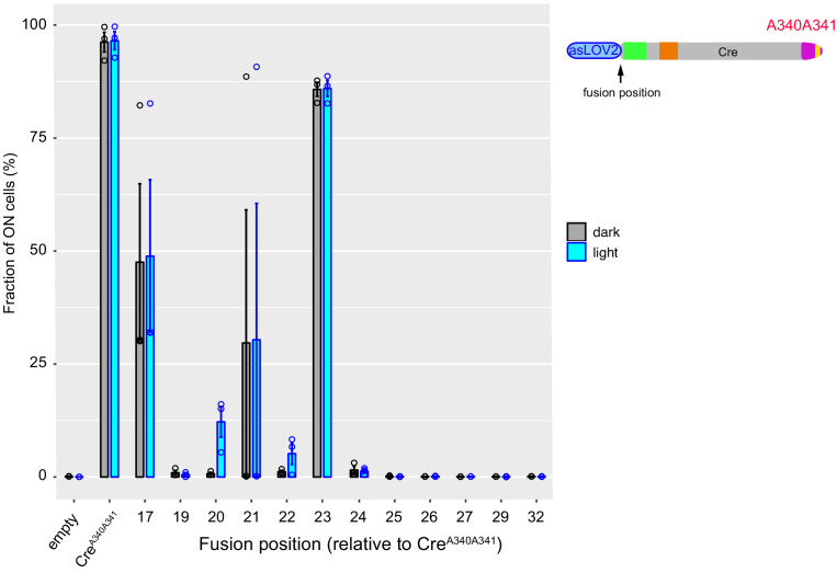 Figure 2—figure supplement 3.