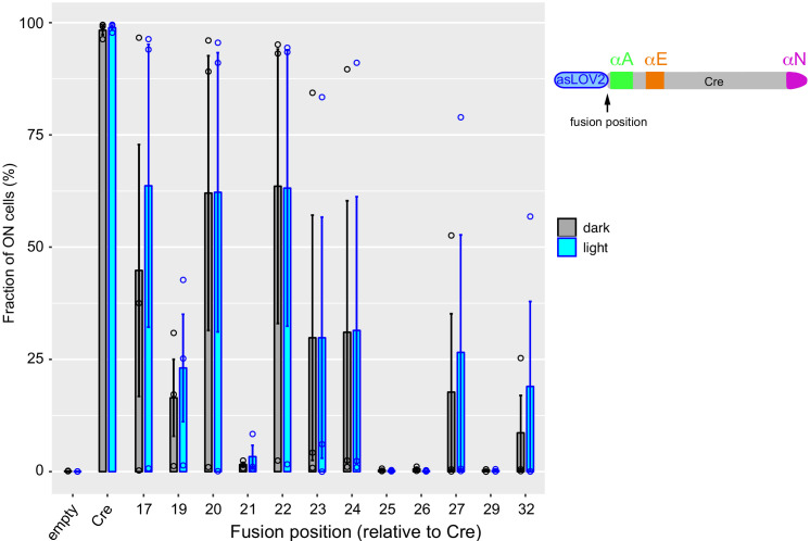 Figure 2—figure supplement 2.