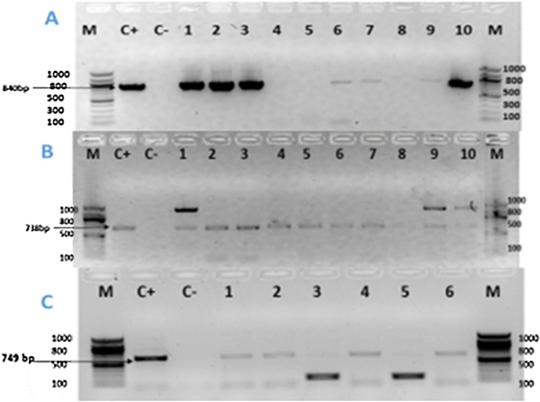 Figure 2.