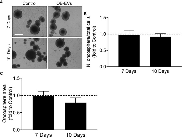 Figure 5