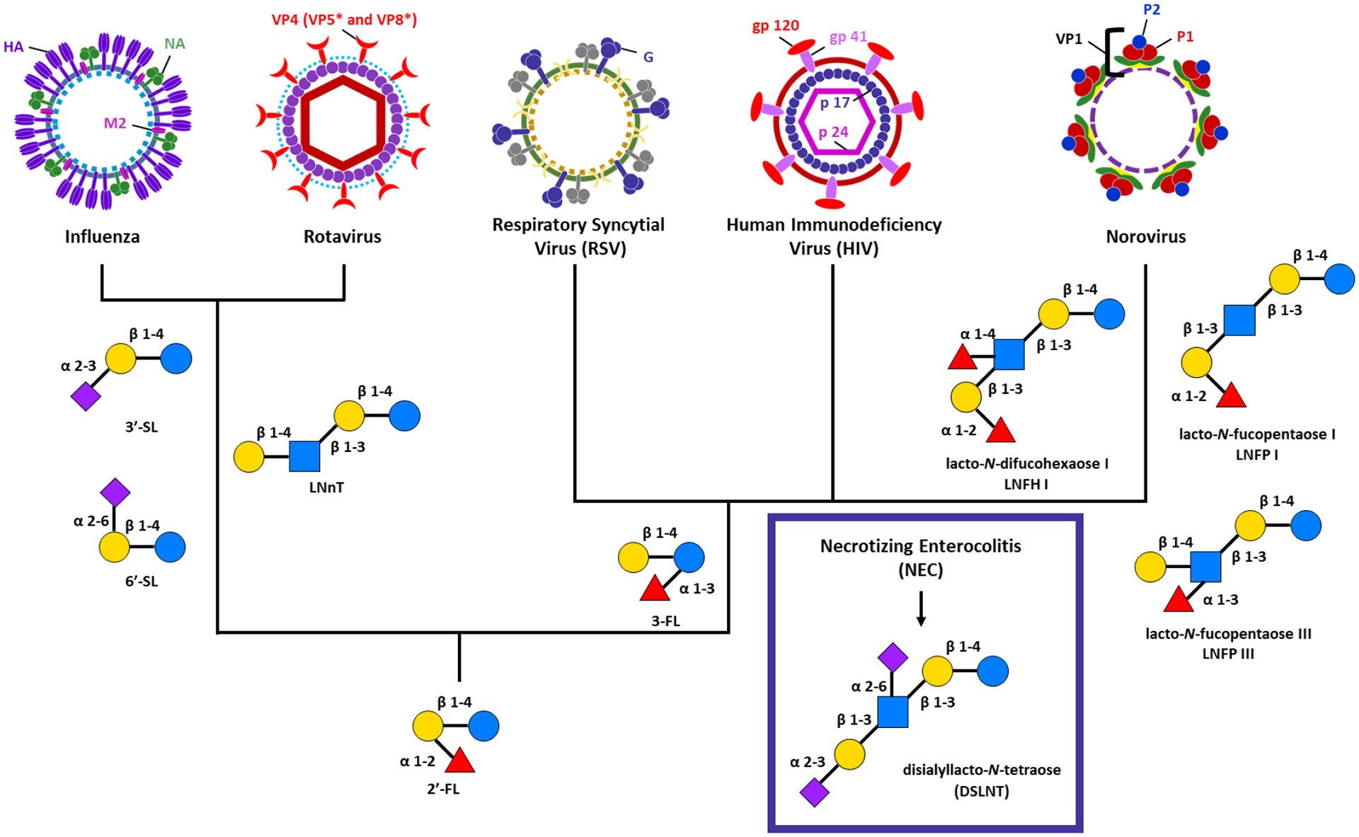 Figure 3: