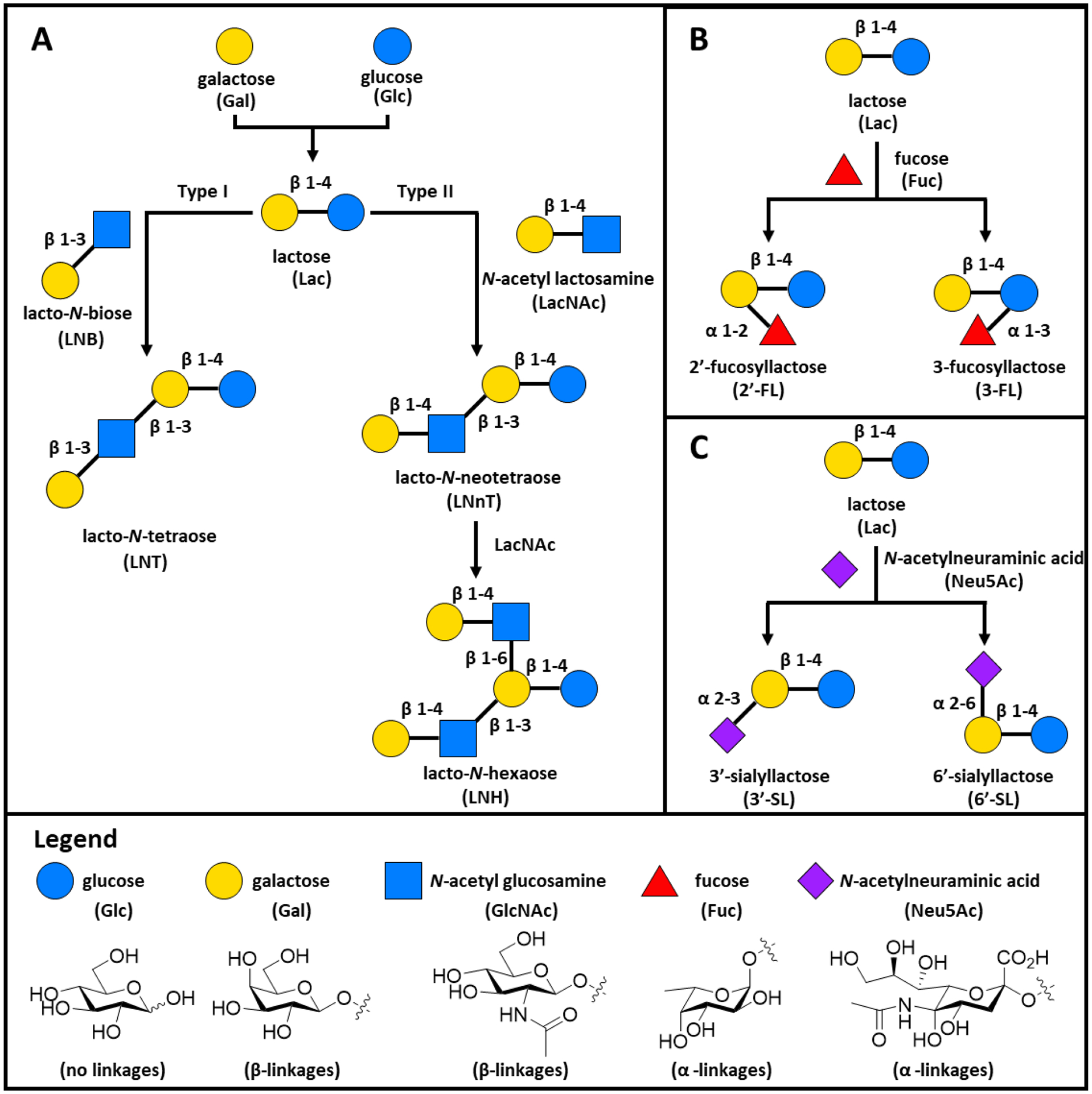 Figure 1: