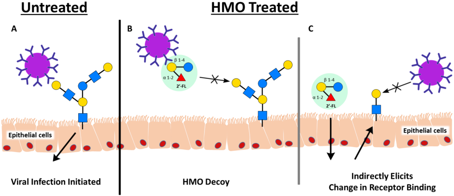 Figure 2: