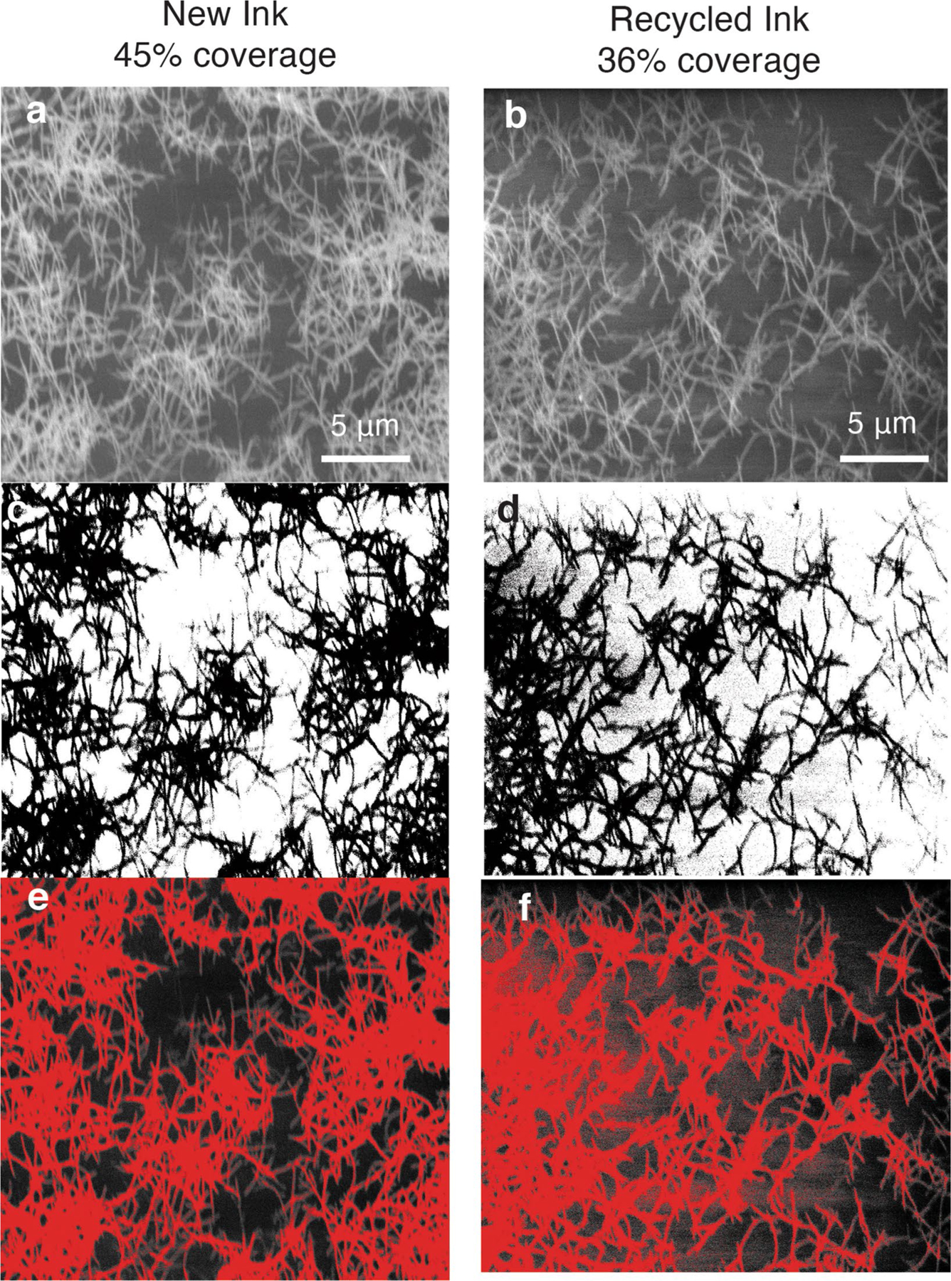 Extended Data Fig. 10 |