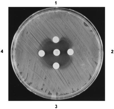 FIG. 3