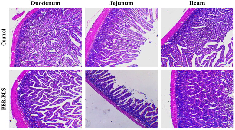 Figure 9.