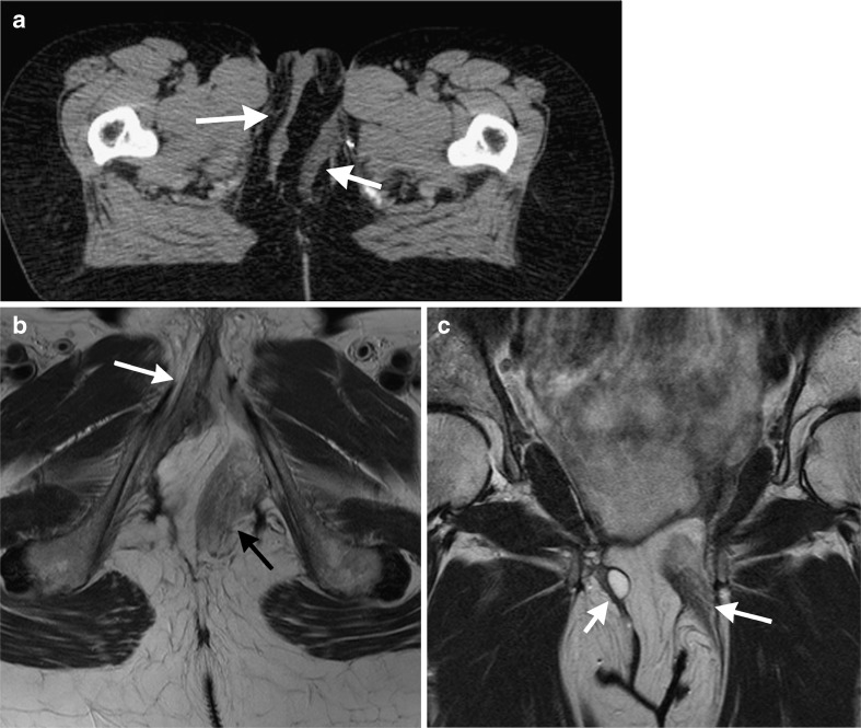 Fig. 6